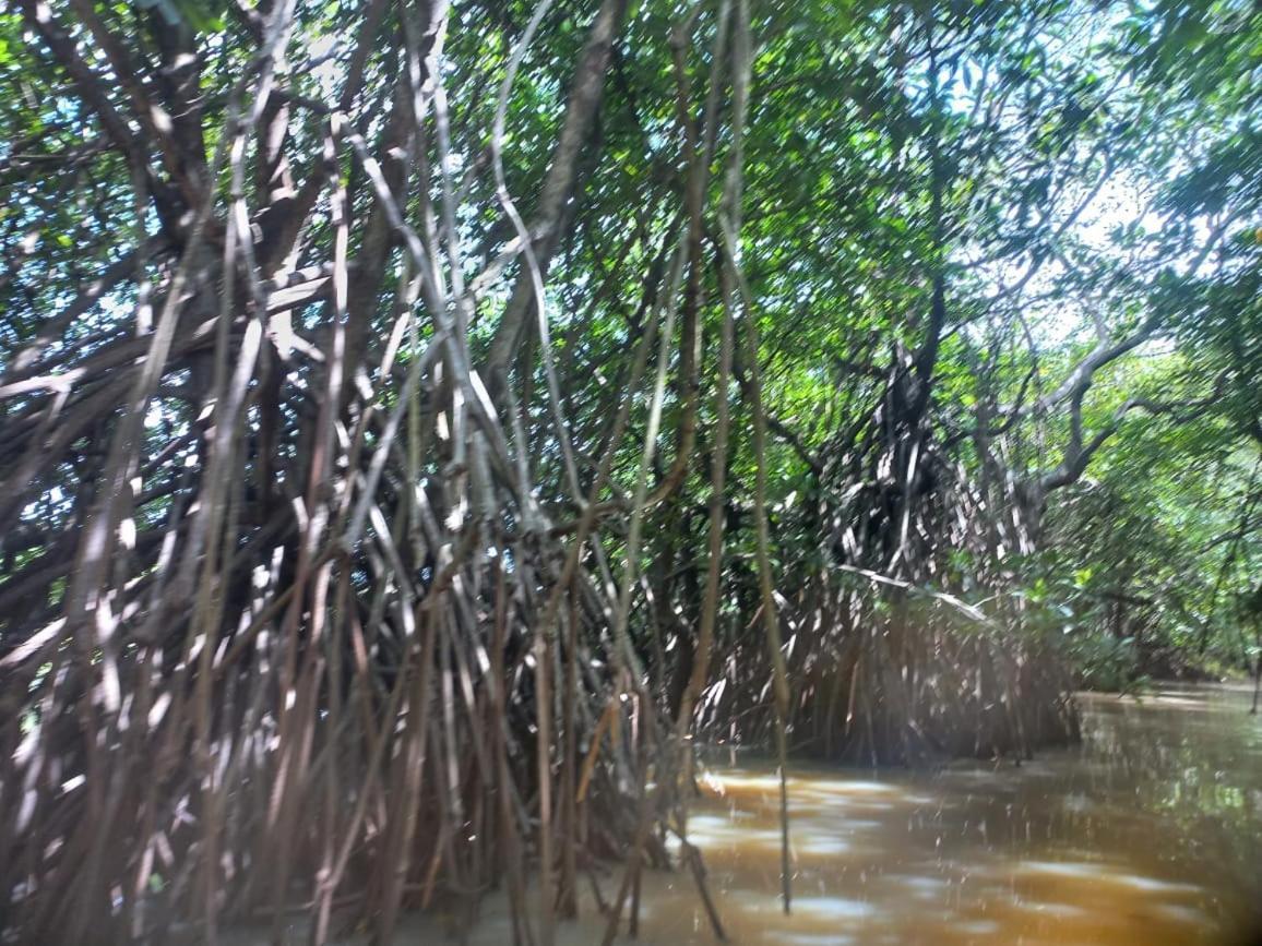Senu Lagoon Villa Tangalle Exterior foto